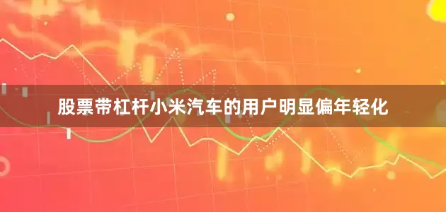 股票带杠杆小米汽车的用户明显偏年轻化