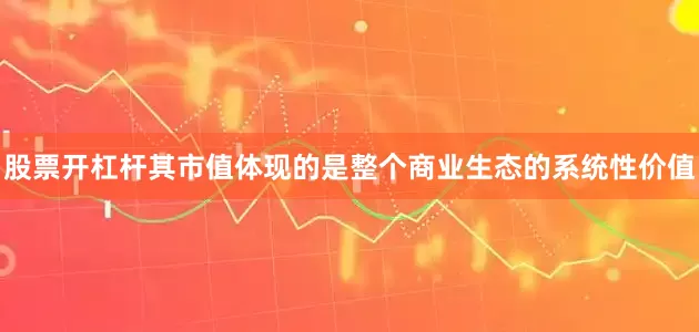 股票开杠杆其市值体现的是整个商业生态的系统性价值