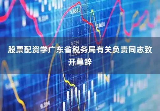 股票配资学广东省税务局有关负责同志致开幕辞